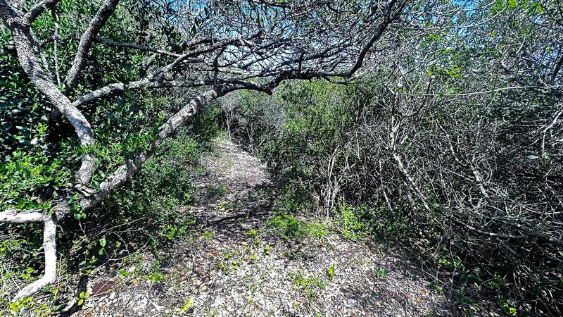 0 Bedroom Property for Sale in Groot Brakrivier Central Western Cape